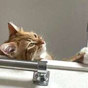 ヒメ日記 2025/09/27 20:03 投稿 ケイ カワサキ EROTIC