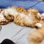 ヒメ日記 2025/09/28 12:45 投稿 ケイ カワサキ EROTIC