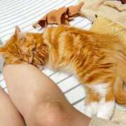 ヒメ日記 2025/11/05 21:45 投稿 ケイ カワサキ EROTIC