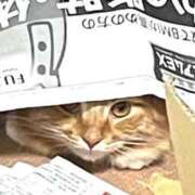 ヒメ日記 2025/11/23 18:30 投稿 ケイ カワサキ EROTIC