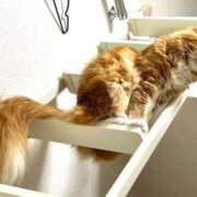 ヒメ日記 2025/12/04 22:30 投稿 ケイ カワサキ EROTIC