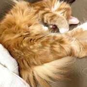 ケイ お休みします カワサキ EROTIC