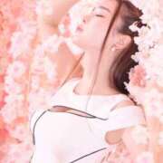 ヒメ日記 2025/03/14 03:14 投稿 つかさ カワサキ EROTIC