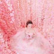 ヒメ日記 2025/03/16 09:19 投稿 つかさ カワサキ EROTIC