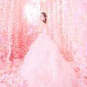 ヒメ日記 2025/03/19 08:08 投稿 つかさ カワサキ EROTIC