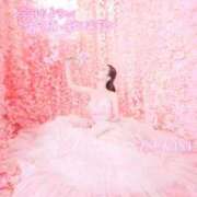 ヒメ日記 2025/04/01 08:30 投稿 つかさ カワサキ EROTIC