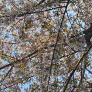 ヒメ日記 2025/04/09 20:51 投稿 つかさ カワサキ EROTIC