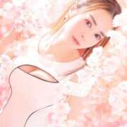 ヒメ日記 2025/04/26 00:21 投稿 つかさ カワサキ EROTIC