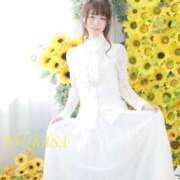 ヒメ日記 2025/05/24 00:40 投稿 つかさ カワサキ EROTIC