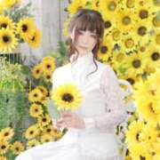 ヒメ日記 2025/05/28 12:09 投稿 つかさ カワサキ EROTIC