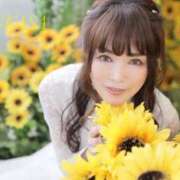 ヒメ日記 2025/05/30 12:08 投稿 つかさ カワサキ EROTIC