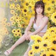 ヒメ日記 2025/06/21 02:20 投稿 つかさ カワサキ EROTIC