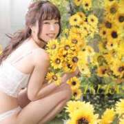 ヒメ日記 2025/06/29 12:15 投稿 つかさ カワサキ EROTIC