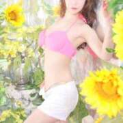 ヒメ日記 2025/08/23 02:06 投稿 つかさ カワサキ EROTIC