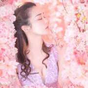 ヒメ日記 2026/01/29 19:55 投稿 つかさ カワサキ EROTIC