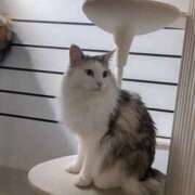 ヒメ日記 2025/03/18 20:56 投稿 美月 カワサキ EROTIC