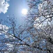 ヒメ日記 2025/04/04 14:16 投稿 美月 カワサキ EROTIC