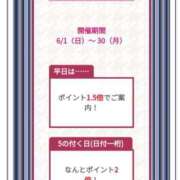 ヒメ日記 2025/06/25 15:01 投稿 美月 カワサキ EROTIC