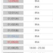 ヒメ日記 2024/12/24 00:39 投稿 れい カワサキ EROTIC