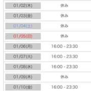 ヒメ日記 2024/12/31 00:14 投稿 れい カワサキ EROTIC