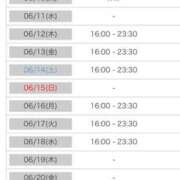 ヒメ日記 2025/06/08 00:12 投稿 れい カワサキ EROTIC