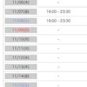 ヒメ日記 2025/11/05 00:11 投稿 れい カワサキ EROTIC