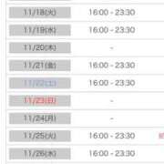 ヒメ日記 2025/11/14 00:07 投稿 れい カワサキ EROTIC