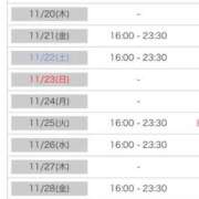 ヒメ日記 2025/11/18 00:08 投稿 れい カワサキ EROTIC