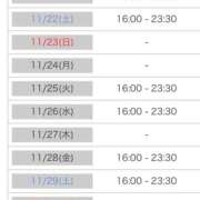 ヒメ日記 2025/11/21 00:04 投稿 れい カワサキ EROTIC