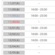 ヒメ日記 2025/11/25 00:03 投稿 れい カワサキ EROTIC