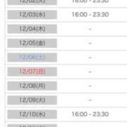 ヒメ日記 2025/11/29 00:05 投稿 れい カワサキ EROTIC