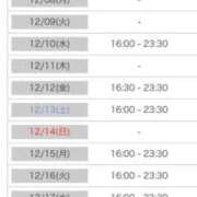 ヒメ日記 2025/12/04 00:09 投稿 れい カワサキ EROTIC