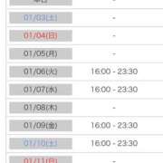 ヒメ日記 2026/01/02 00:02 投稿 れい カワサキ EROTIC
