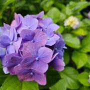 ヒメ日記 2025/06/14 15:15 投稿 若菜 カワサキ EROTIC