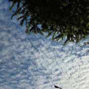 ヒメ日記 2025/09/23 06:56 投稿 若菜 カワサキ EROTIC