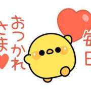 ヒメ日記 2026/02/01 09:31 投稿 若菜 カワサキ EROTIC