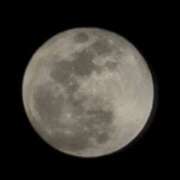 ヒメ日記 2026/02/02 20:31 投稿 若菜 カワサキ EROTIC