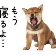 ヒメ日記 2026/03/19 00:30 投稿 若菜 カワサキ EROTIC