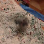 ヒメ日記 2025/12/20 21:56 投稿 アルム女王様 クラブドミナ