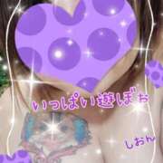 ヒメ日記 2025/02/08 10:00 投稿 長沢しおん 大阪ぽっちゃり妻