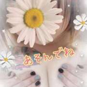 ヒメ日記 2025/02/10 15:30 投稿 長沢しおん 大阪ぽっちゃり妻