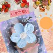 ヒメ日記 2025/03/01 15:15 投稿 長沢しおん 大阪ぽっちゃり妻