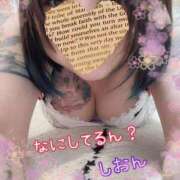 ヒメ日記 2025/03/05 15:45 投稿 長沢しおん 大阪ぽっちゃり妻