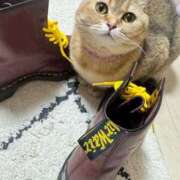 ヒメ日記 2025/03/06 18:30 投稿 長沢しおん 大阪ぽっちゃり妻