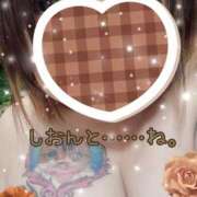 ヒメ日記 2025/03/13 10:00 投稿 長沢しおん 大阪ぽっちゃり妻