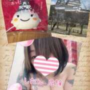 ヒメ日記 2025/03/18 16:01 投稿 長沢しおん 大阪ぽっちゃり妻