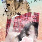 ヒメ日記 2025/03/27 10:00 投稿 長沢しおん 大阪ぽっちゃり妻