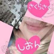 ヒメ日記 2025/03/29 10:15 投稿 長沢しおん 大阪ぽっちゃり妻