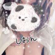 ヒメ日記 2025/04/17 10:15 投稿 長沢しおん 大阪ぽっちゃり妻