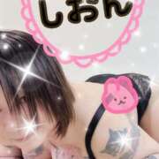 ヒメ日記 2025/05/17 10:15 投稿 長沢しおん 大阪ぽっちゃり妻